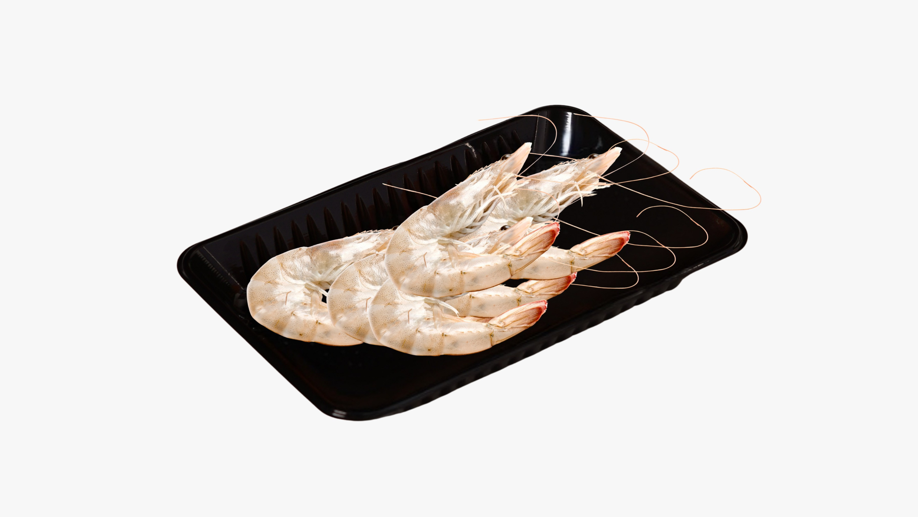 野生沙巴海虾 Sabah's Sea Wild Prawn