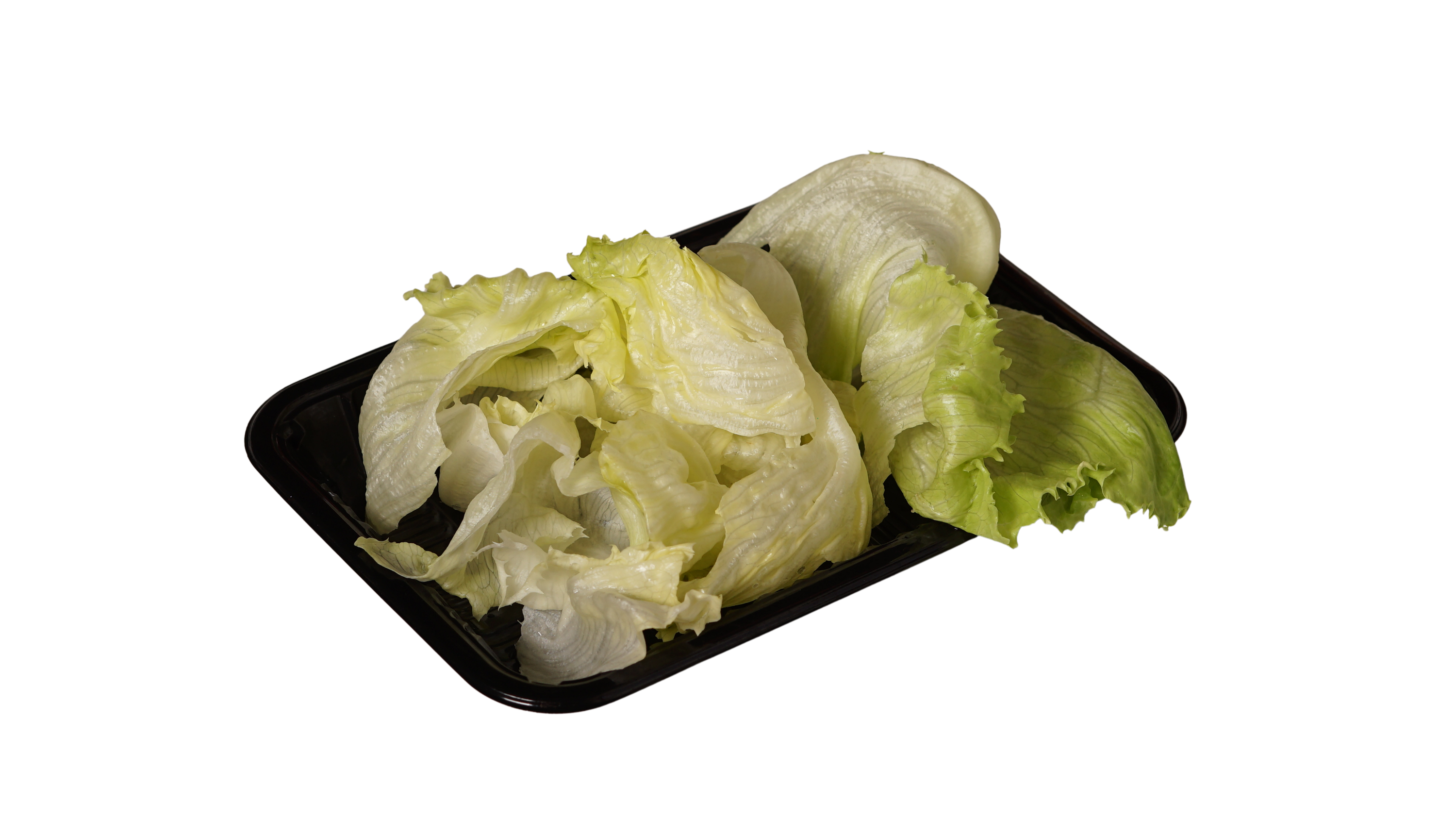 玻璃生菜 Iceberg Lettuce