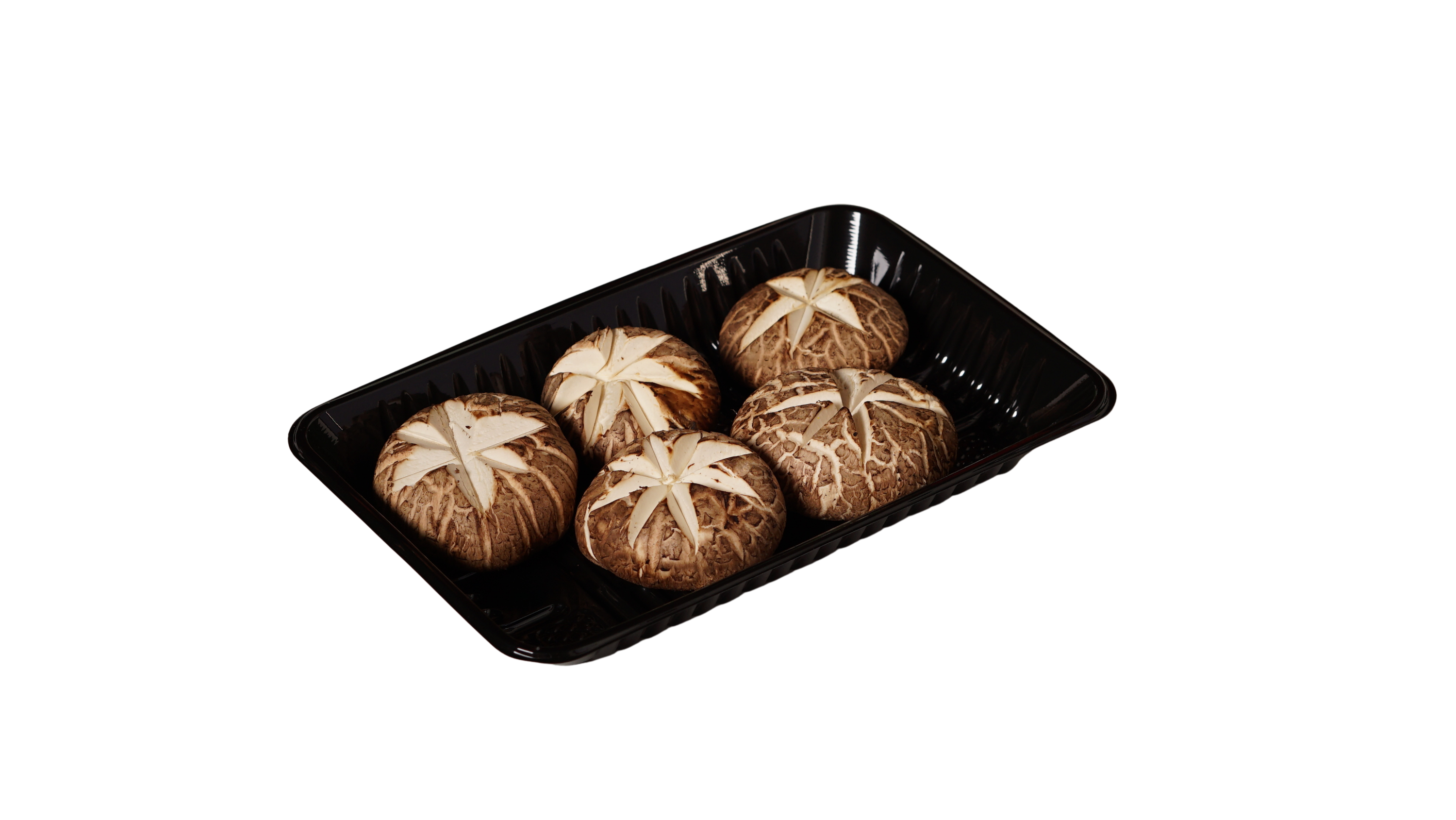 香菇 Shitake Mushroom