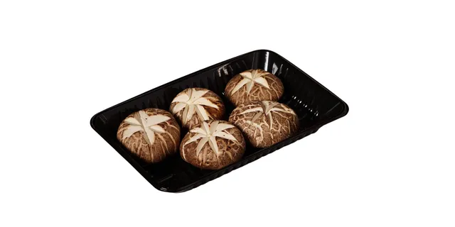 香菇 Shitake Mushroom