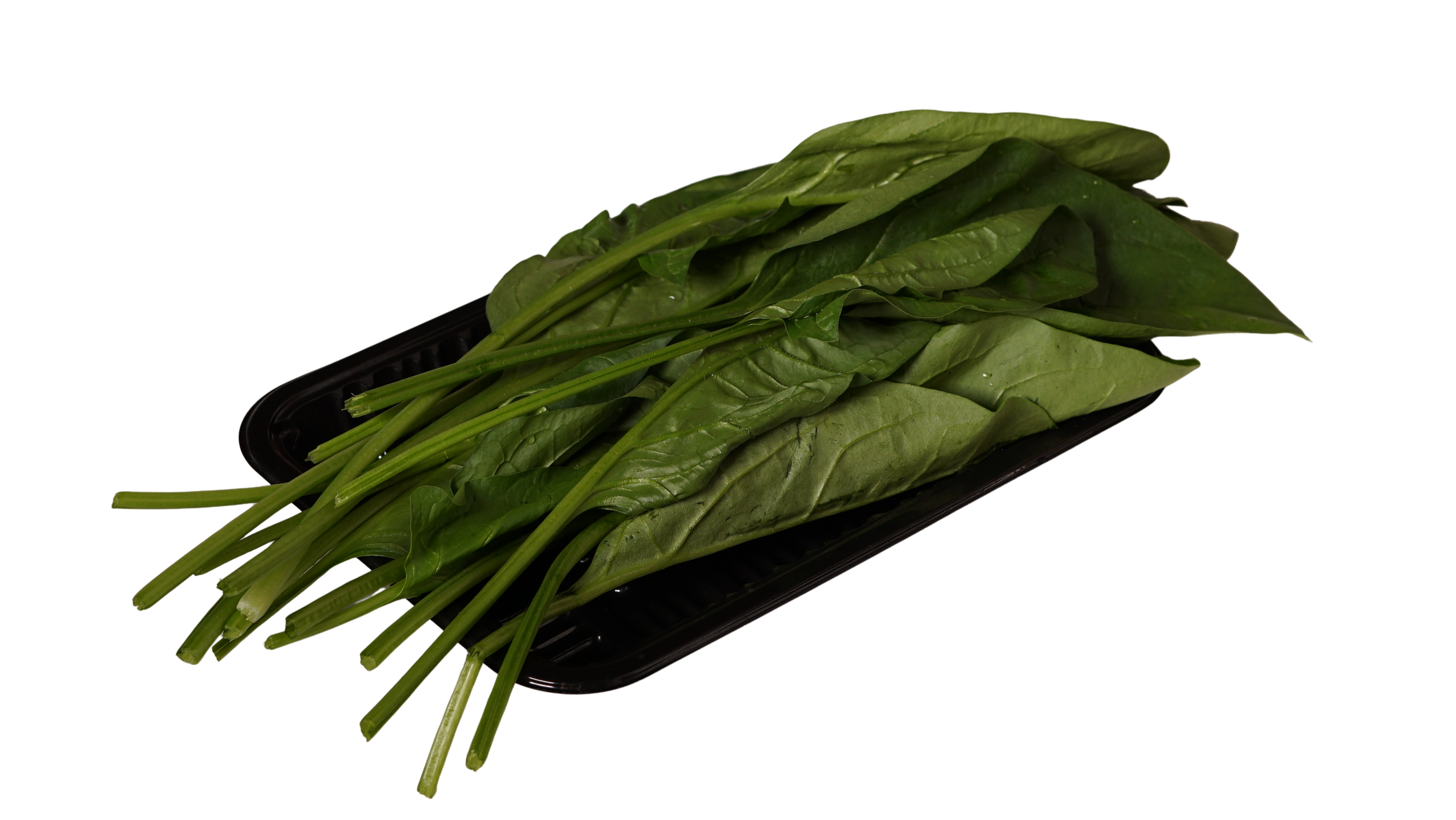 菠菜 Spinach