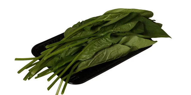 菠菜 Spinach